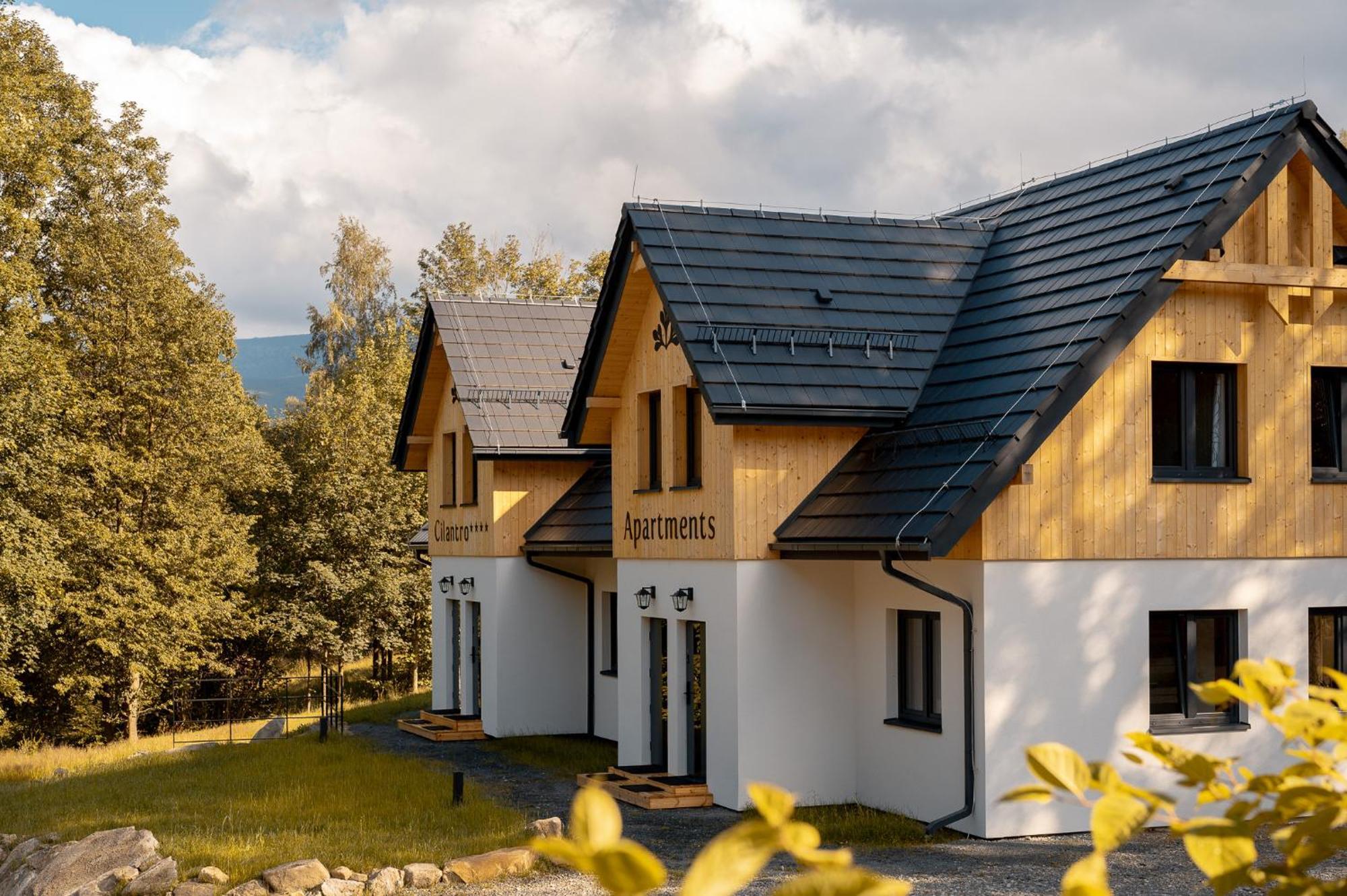 Cilantro Apartment Szklarska Poreba